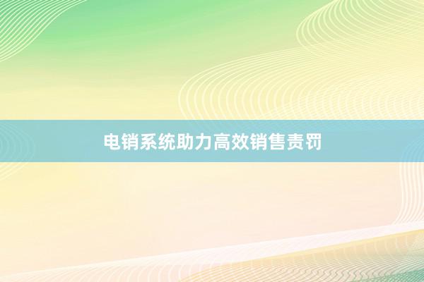 电销系统助力高效销售责罚