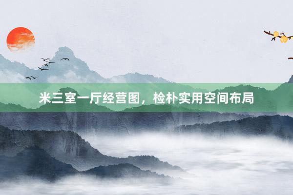 米三室一厅经营图，检朴实用空间布局