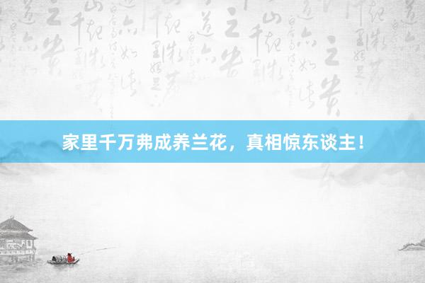 家里千万弗成养兰花，真相惊东谈主！